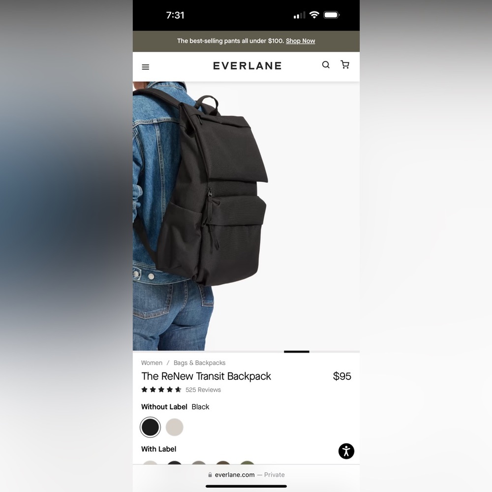 Everlane ReNew Transit Backpack Laptop Commuter Bag